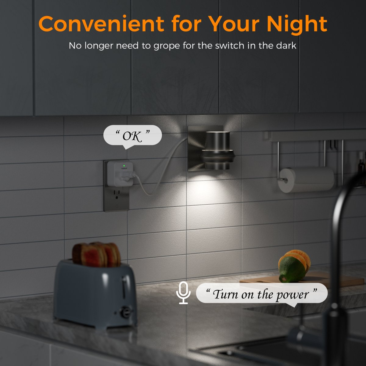 Tessan US/ Canada/ Mexico Voice Control Outlet, Wireless Remote Control Electrical Outlet, 10A/1250W